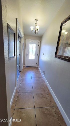 IMG 1633